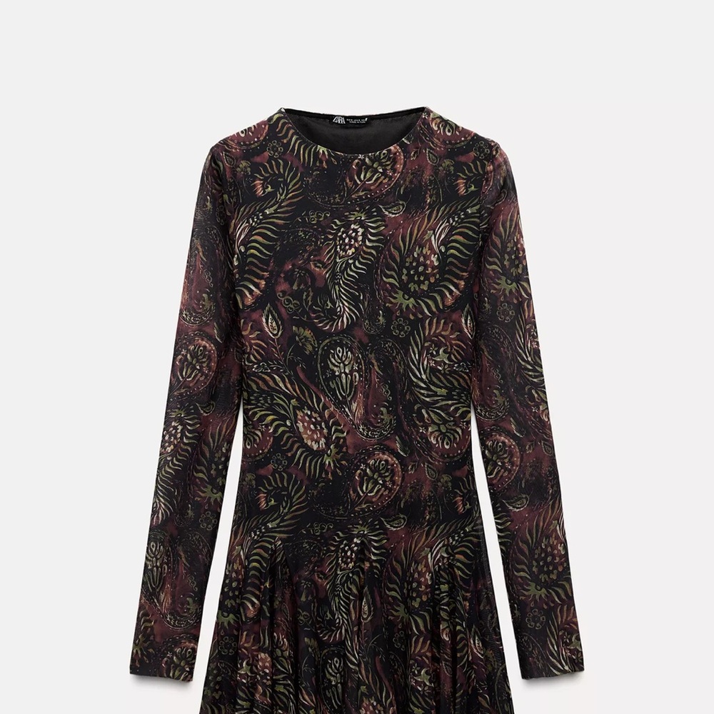 Zara Printed Tulle Dress